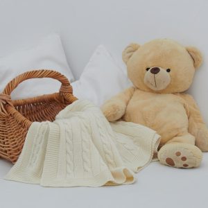Plush Teddy Bear